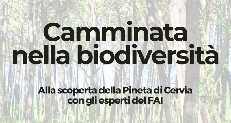 Camminata nella biodiversità